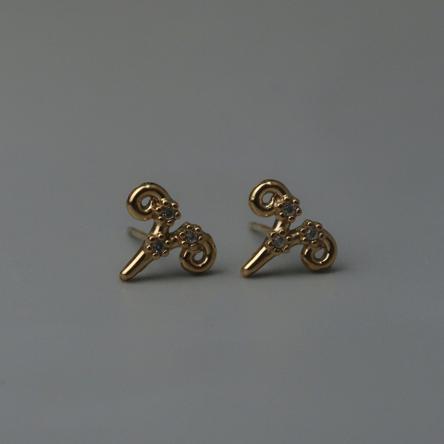 ZODIAC SIGN  Stud Earrings for Women