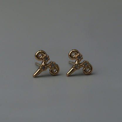ZODIAC SIGN  Stud Earrings for Women