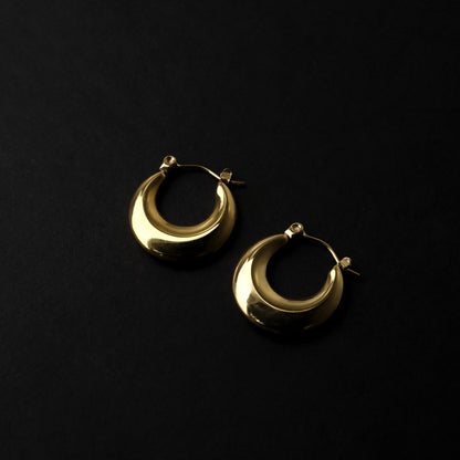 AVIONA Flat Hoop Earrings