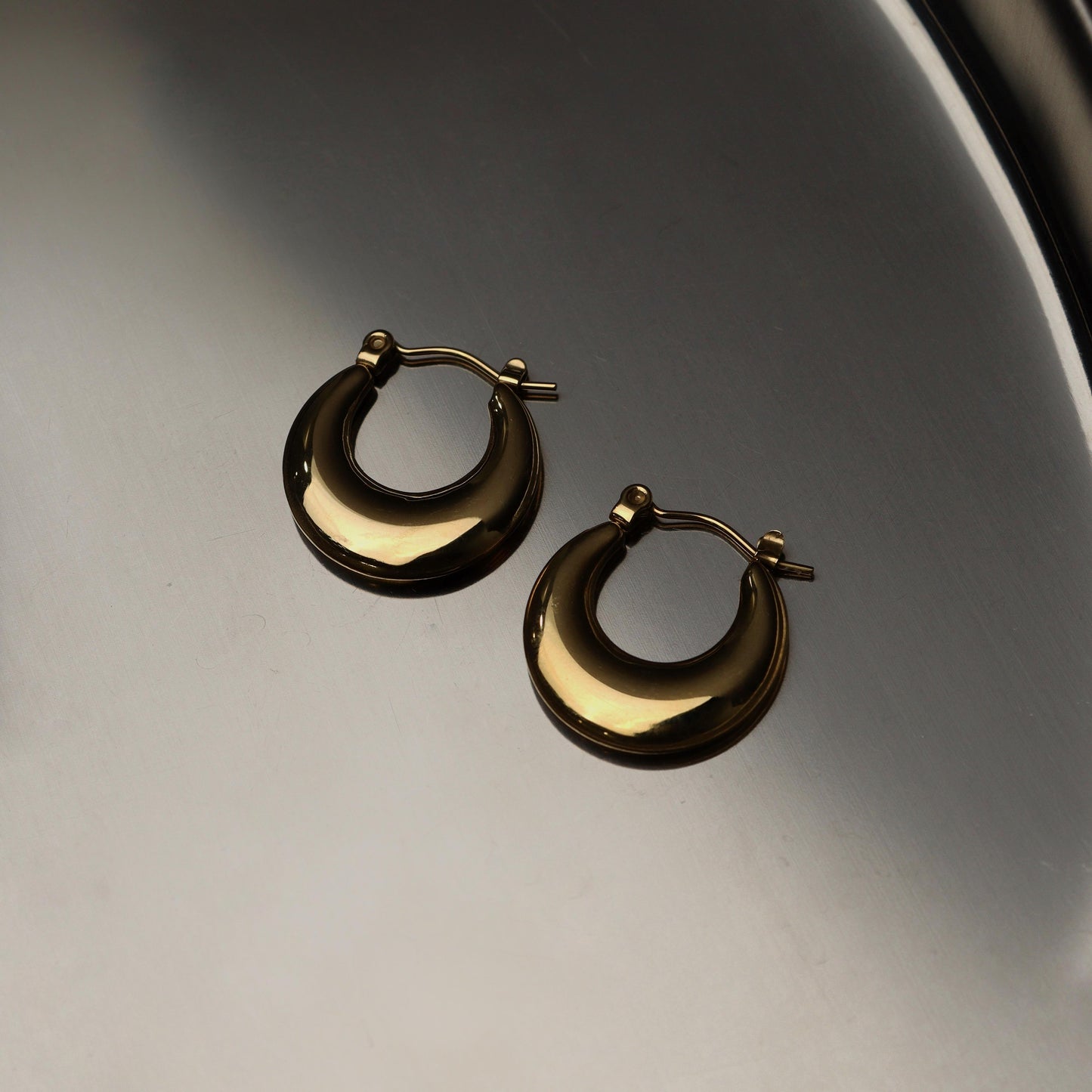 AVIONA Flat Hoop Earrings