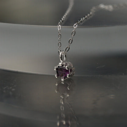 Birth Month Stones S925 Silver Pendant Chain Necklace for Women