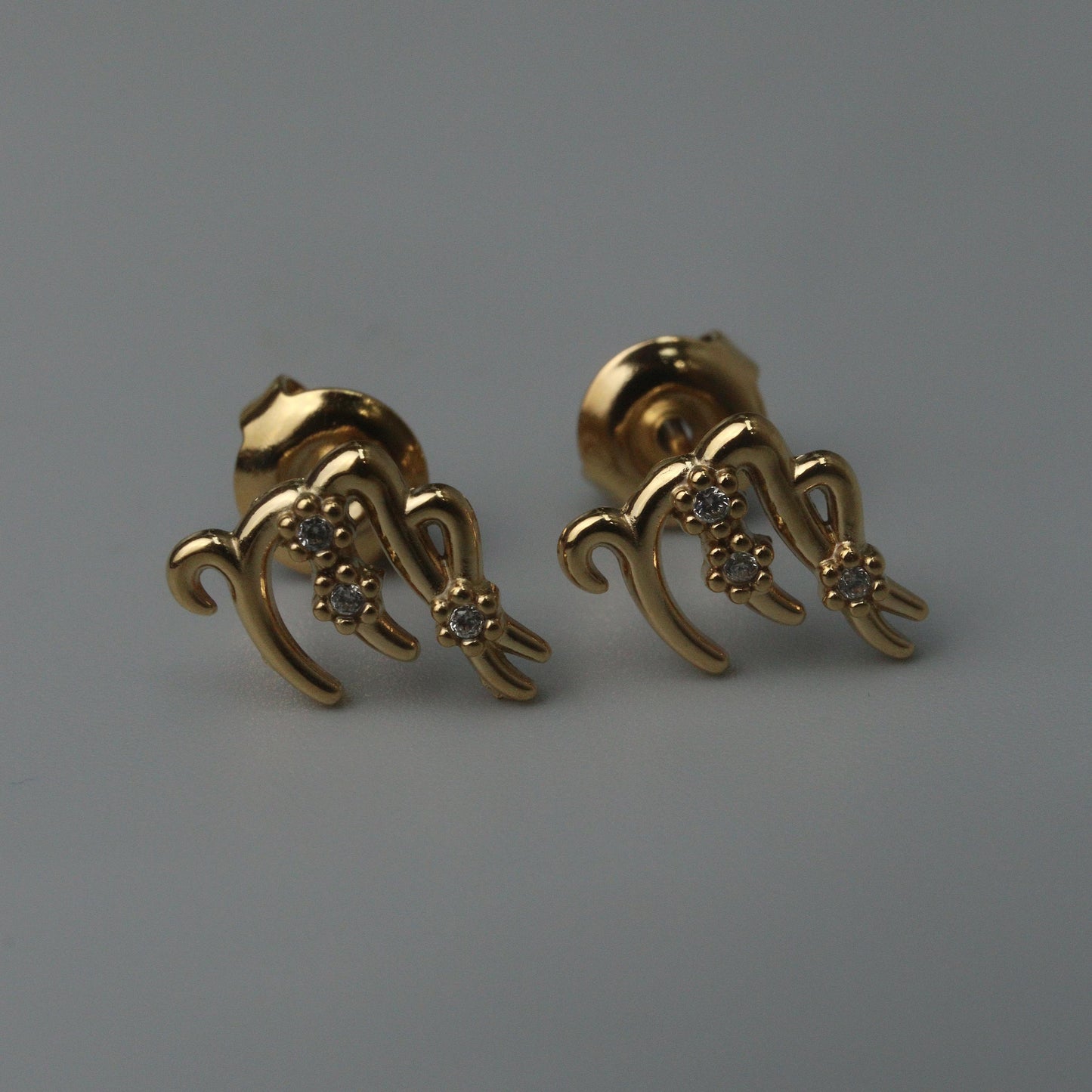 ZODIAC SIGN  Stud Earrings for Women