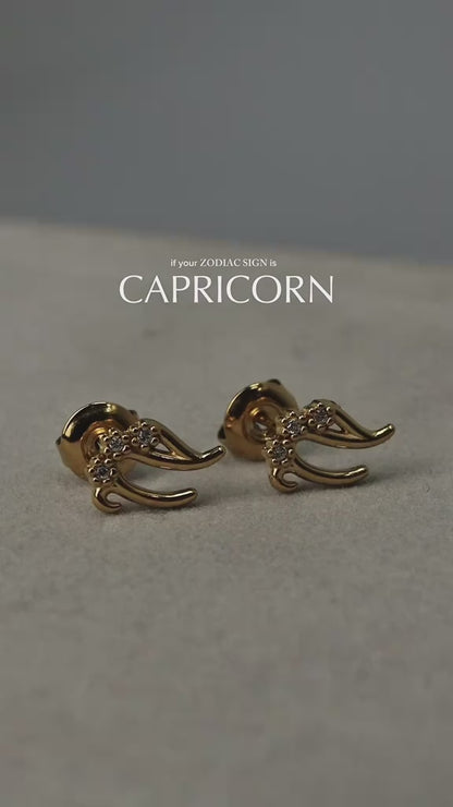 ZODIAC SIGN  Stud Earrings for Women