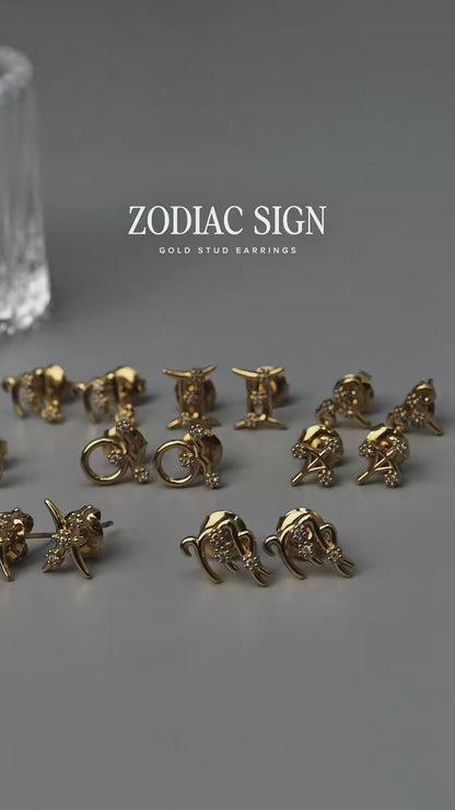 ZODIAC SIGN  Stud Earrings for Women