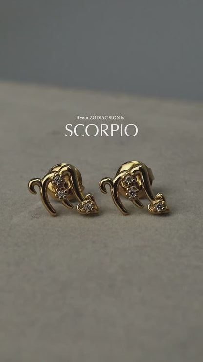 ZODIAC SIGN  Stud Earrings for Women